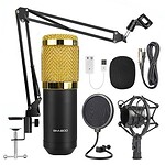 BM 800 Microphone