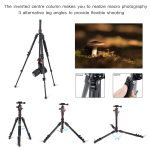 ZOMEI M5 DSLR Camera Tripod Stand - Image 5