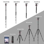 ZOMEI M5 DSLR Camera Tripod Stand - Image 3