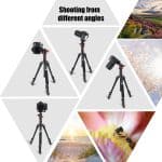 ZOMEI M5 DSLR Camera Tripod Stand - Image 4