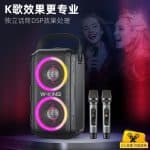 W-KING T9II BLUETOOTH KARAOKE SPEAKER