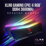 Pny XLR8 Gaming Epic RGB 8GB 3600Mhz DDR4 RAM