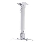 Universal Projector Wall / Ceiling Mount - Image 6