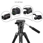 Zomei Video Tripod VT555 with Professional 360°Degree Fluid Damping Head and Fit for Parnoramic Shooting - Image 2