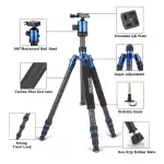Zomei Z888C Tripod Carbon Fiber for Digital DSLR Cameras with Quick Release Plate and Ball Head (Blue)