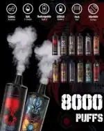 Onee Max 8000 Puffs Disposable Vape