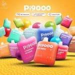Elf Bar Pi 9000 Disposable Pod 9000 Puff