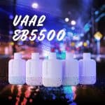 Vaal EB5500 coconut ice cream