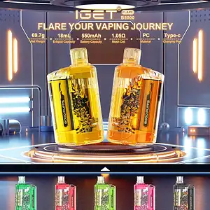 IGET Flare B10000 Rechargeable Vape – 10,000 Puffs