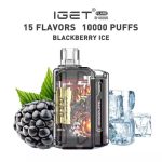 IGET Flare B10000 Rechargeable Vape – 10,000 Puffs