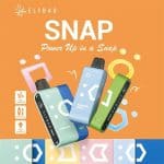 Elf Bar SNAP 14,000 (14K) Puffs 5% Disposable Pod Vape