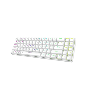 Dareu EK871 GTR RGB Hot-Swappable Wireless Mechanical Keyboard