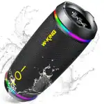 W-KING D220