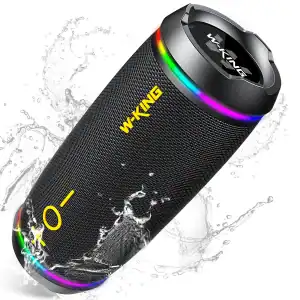 W-KING D220