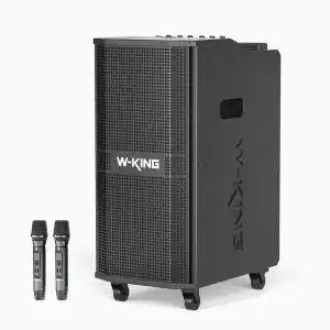 W-KING K20 S.