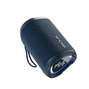 W-KING D110 15W RMS Portable Bluetooth Speaker